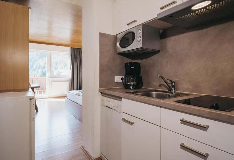 חדר סטודיו סטנדרד, Haus Bellevue By Vaya