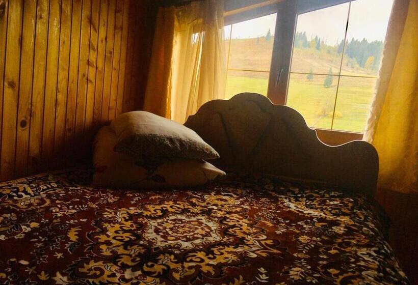 اتاق استاندارد با چشمانداز کوهستان, U Daryny