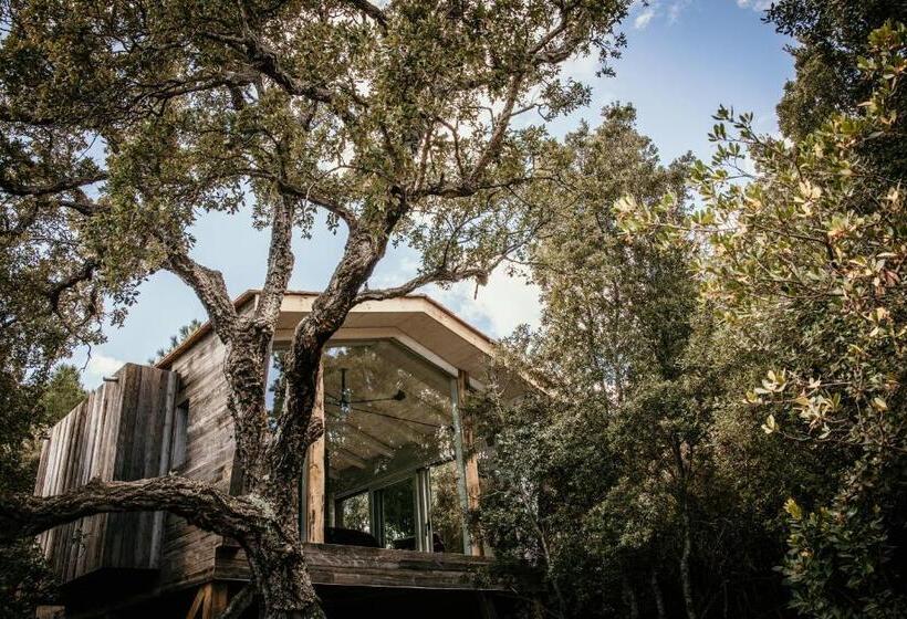 Люкс Deluxe Кровать Кинг, Domaine De Casanghjulina