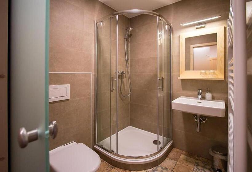 스탠다드 룸, Penzion Hora