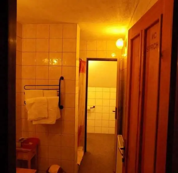Deluxe-huone, Penzion Roseta