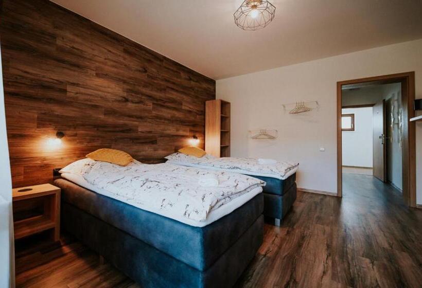 غرفة قياسية سرير كينج لذوى الإحتياجات الخاصة, Penzion Roseta