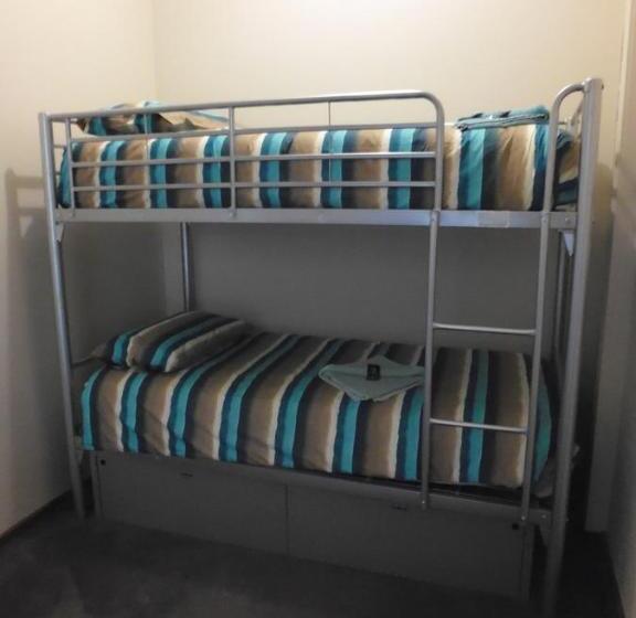 سرير فى غرفة مشتركه, Happy Backpacker