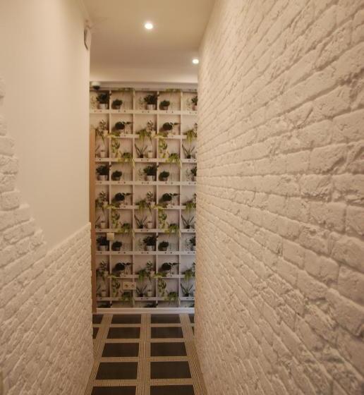 اتاق استاندارد, Green Apple Hostel