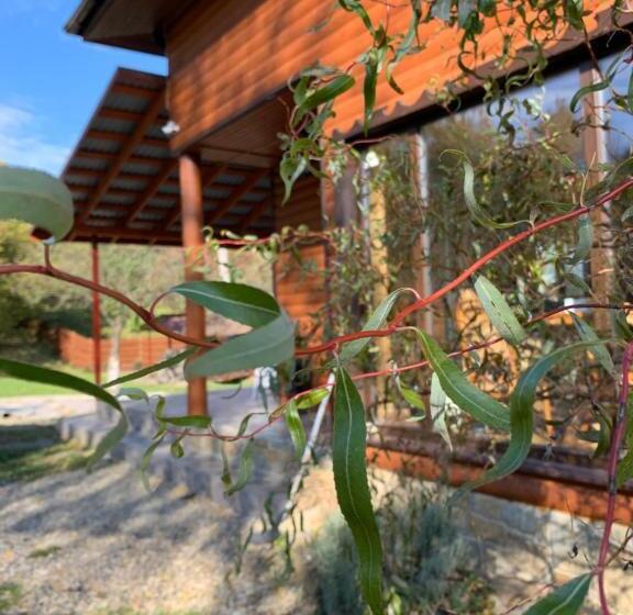 خانه 3 خوابه, Guest House Pid Dubom карпати під дубом