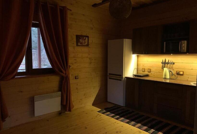 آپارتمان 2 خوابه, Guest House Pid Dubom карпати під дубом