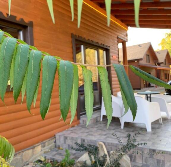 خانه 3 خوابه, Guest House Pid Dubom карпати під дубом