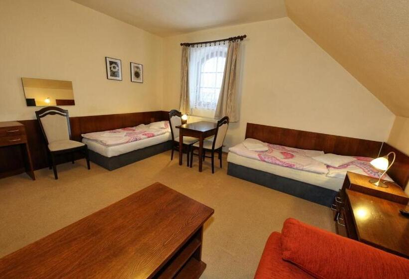 １ベッドルームアパートメント, Penzion U Hraběnky