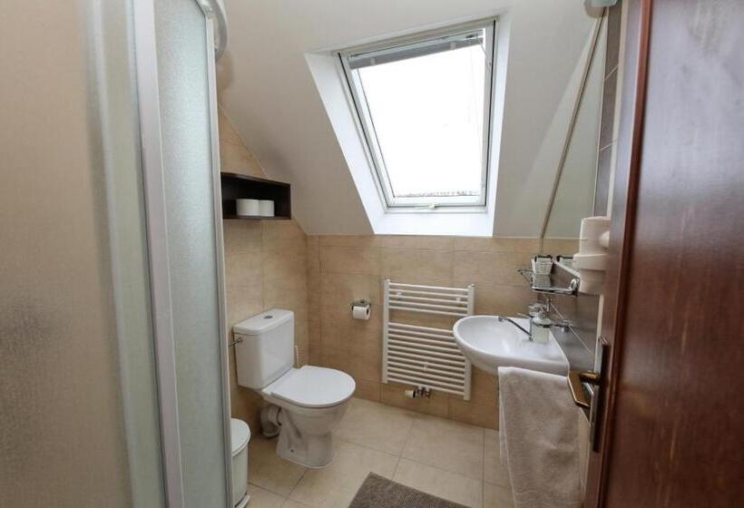 １ベッドルームアパートメント, Penzion U Hraběnky