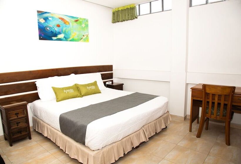 اتاق سوپریور, Ayenda 1133 Casa Polty