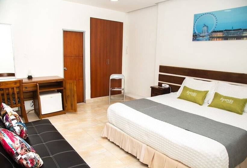 اتاق سوپریور, Ayenda 1133 Casa Polty