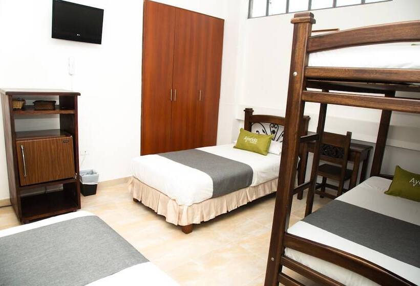 اتاق استاندارد, Ayenda 1133 Casa Polty