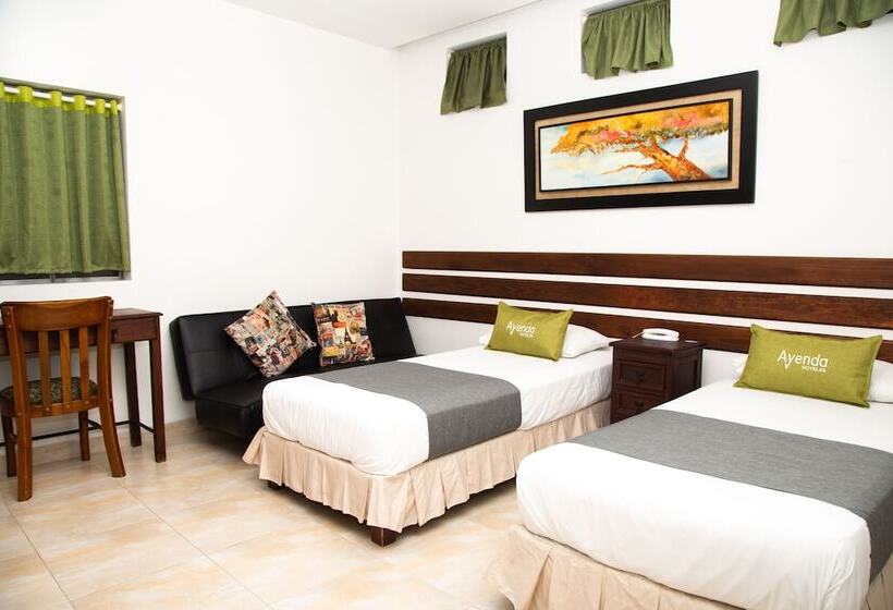 اتاق استاندارد, Ayenda 1133 Casa Polty