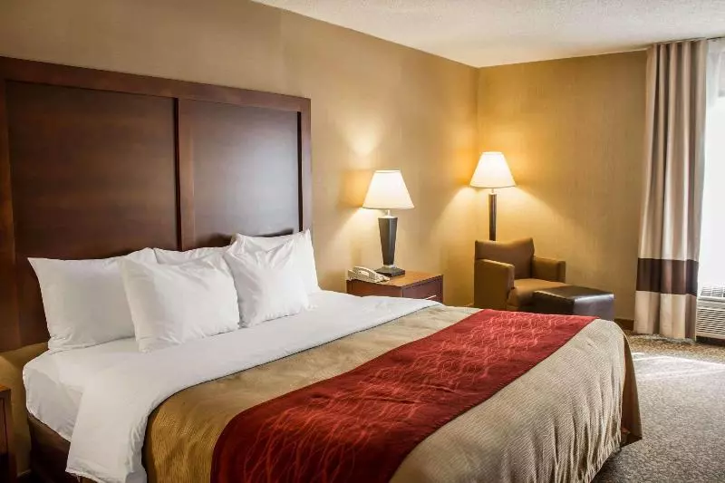 اتاق استاندارد با تخت بزرگ, Clarion Pointe
