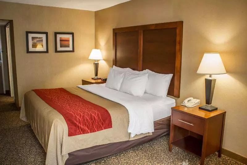 اتاق استاندارد با تخت بزرگ, Clarion Pointe