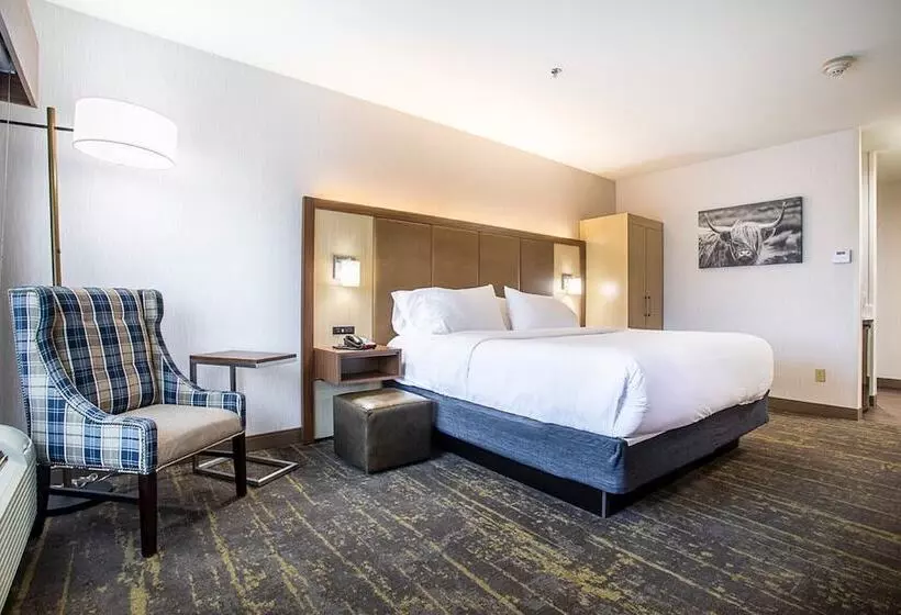 اتاق استاندارد با تخت دوبل, Holiday Inn Express Hotel & Suites Kalispell, An Ihg