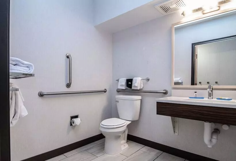 اتاق استاندارد با تخت دوبل, Holiday Inn Express Hotel & Suites Kalispell, An Ihg