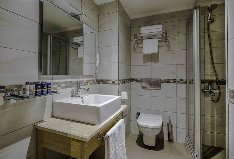 اتاق استاندارد, Venera