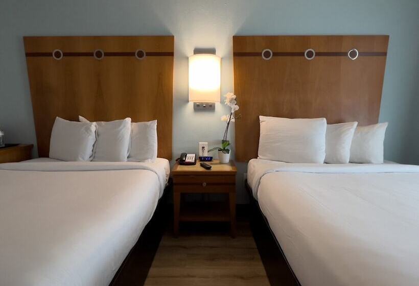 غرفة سوبيريور, Majestic Hotel South Beach