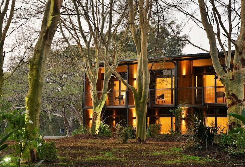 חדר משפחתי, Anew Hotel Hluhluwe