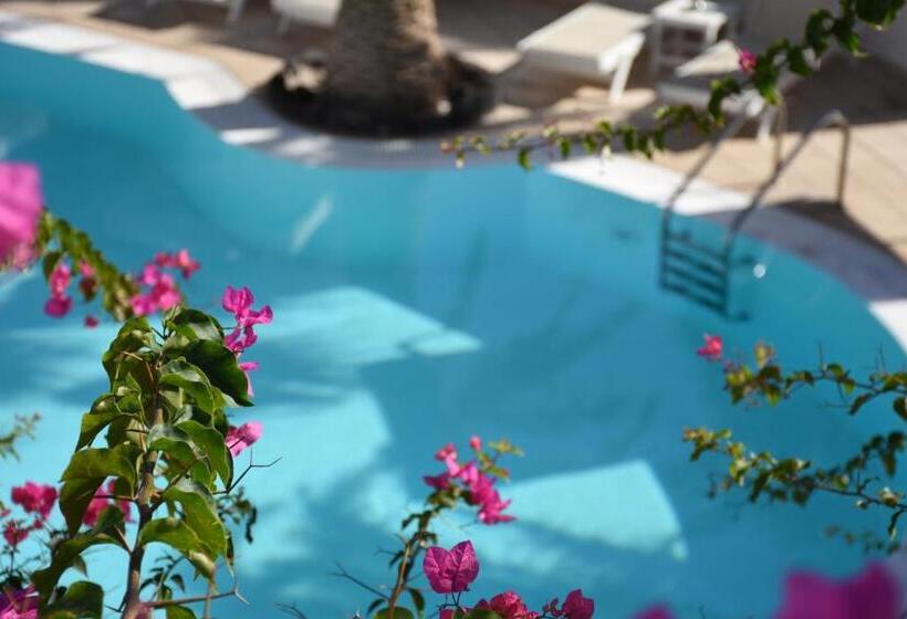 Habitación Estándar Vista Mar con Balcón, Arion Bay Hotel Santorini