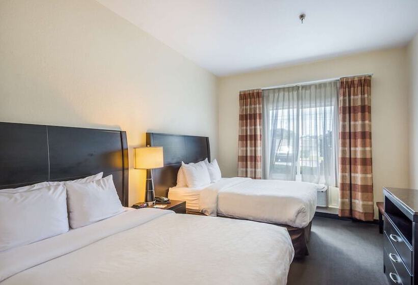 스위트, Clarion Inn & Suites Central Clearwater Beach