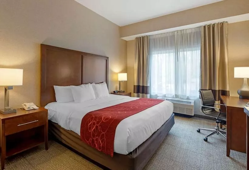 سوییت, Comfort Suites Anchorage International Airport