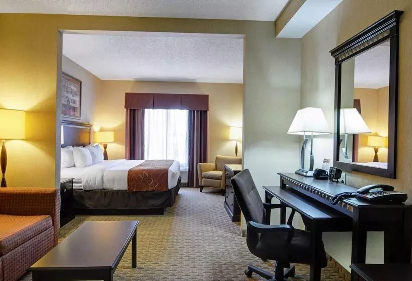 身障者適用スイートルーム, Comfort Suites