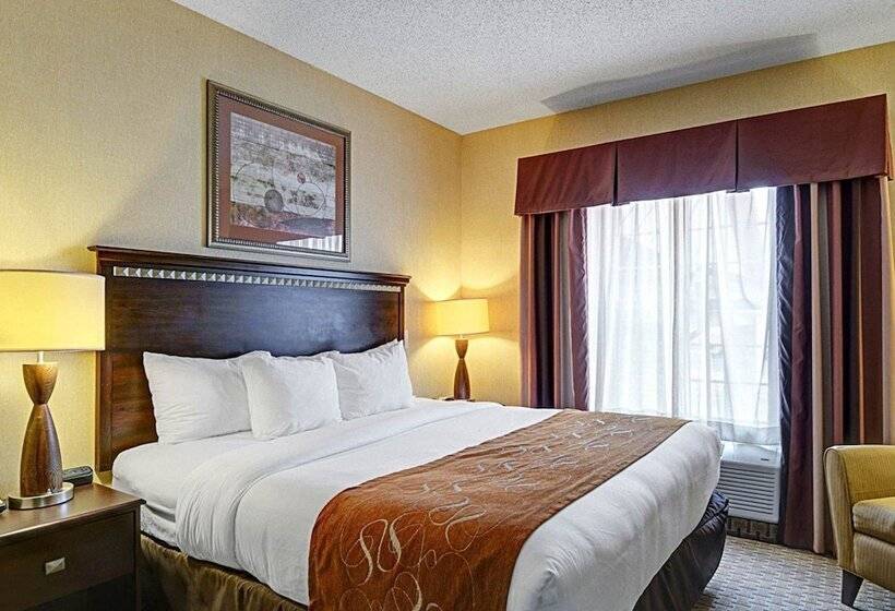Люкс, Comfort Suites
