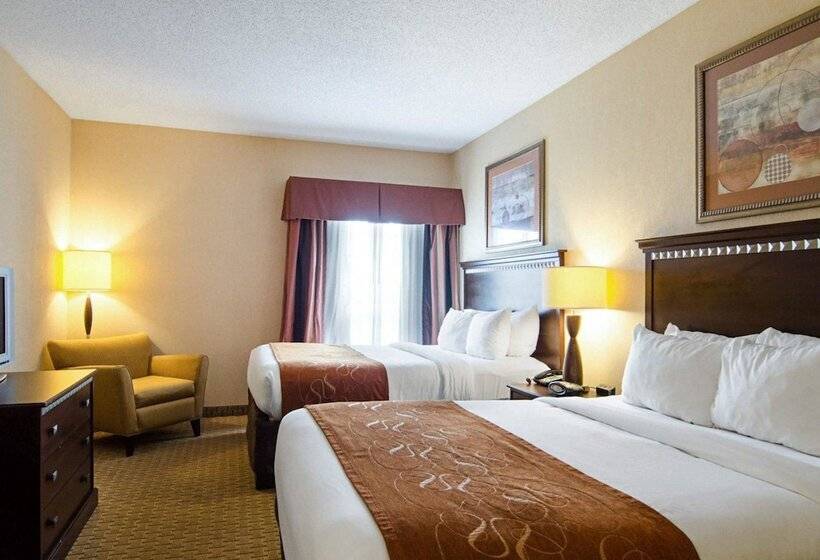 Люкс, Comfort Suites