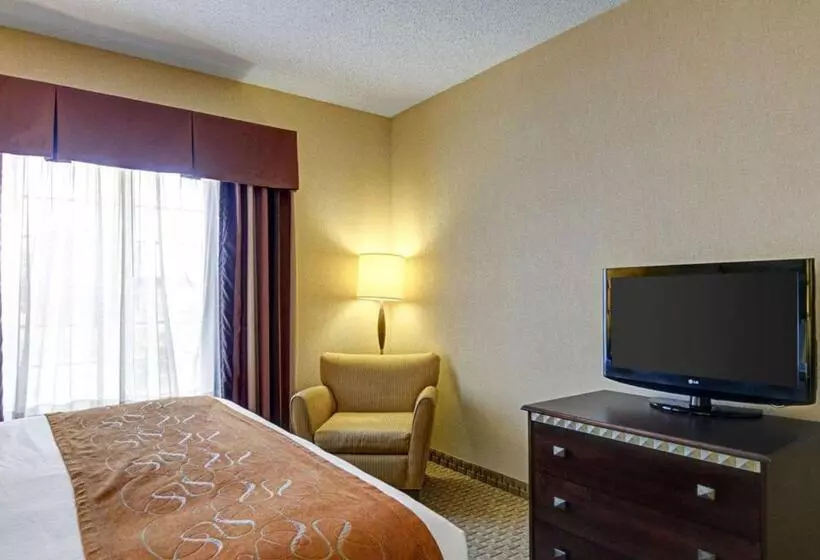 キングサイズベッドのスイートルーム, Comfort Suites
