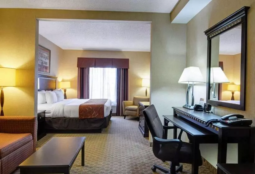 キングサイズベッドのスイートルーム, Comfort Suites
