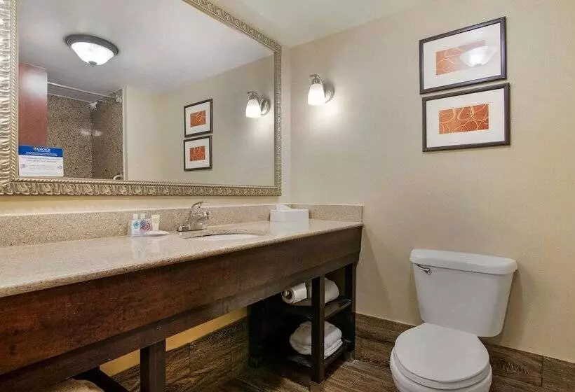 スイート, Comfort Suites Near Mcas Beaufort
