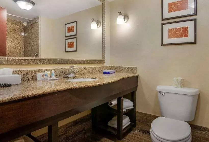 スイート, Comfort Suites Near Mcas Beaufort