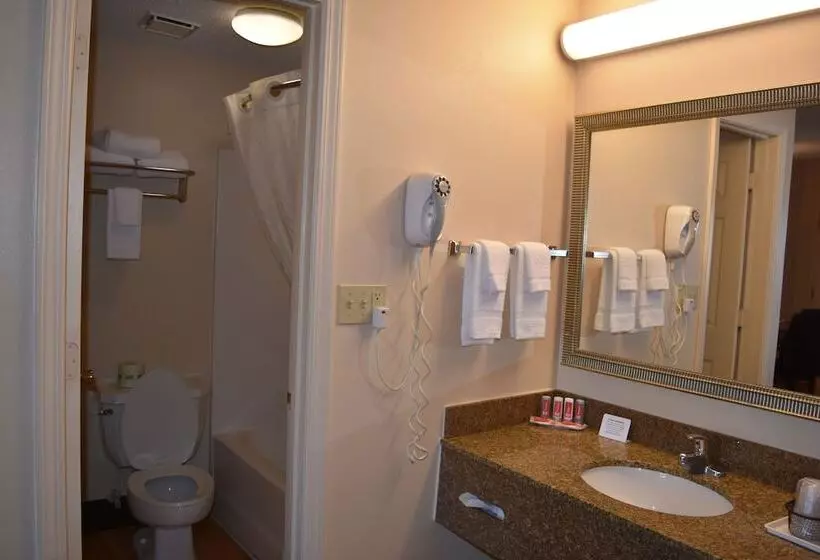 ２ダブルベッドのスタンダードルーム, Econo Lodge Downtown