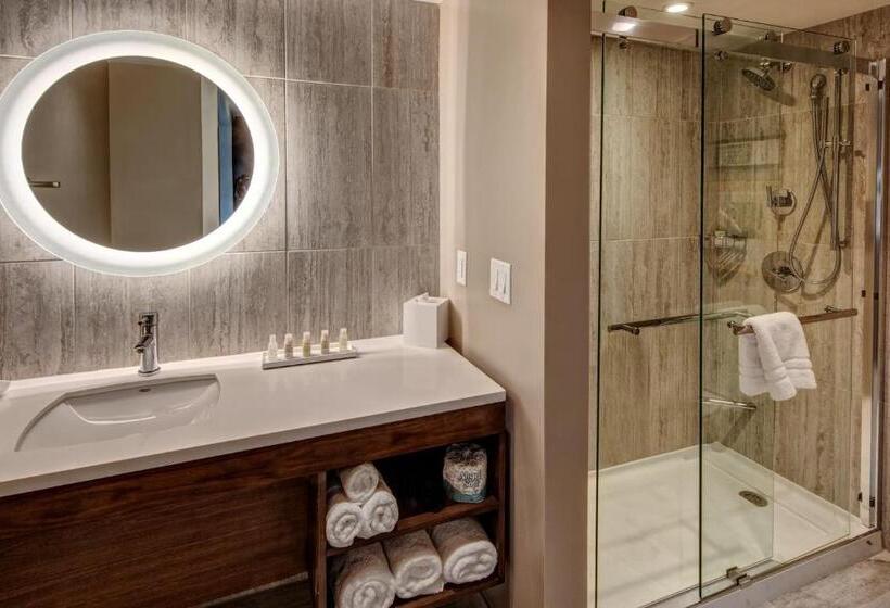 스탠다드 룸 킹사이즈 침대, Indigo   Memphis Downtown, An Ihg