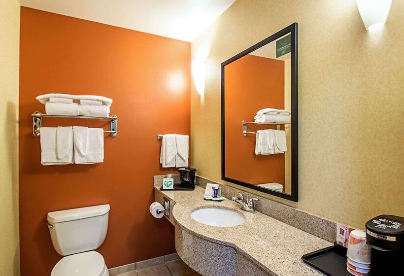 סוויטה, Sleep Inn & Suites Madison   Monona