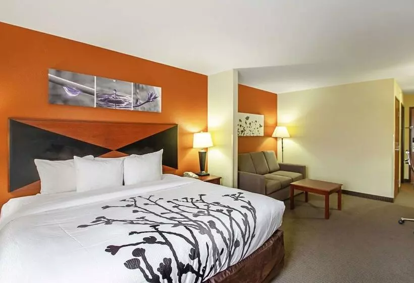 スイート, Sleep Inn & Suites Madison   Monona