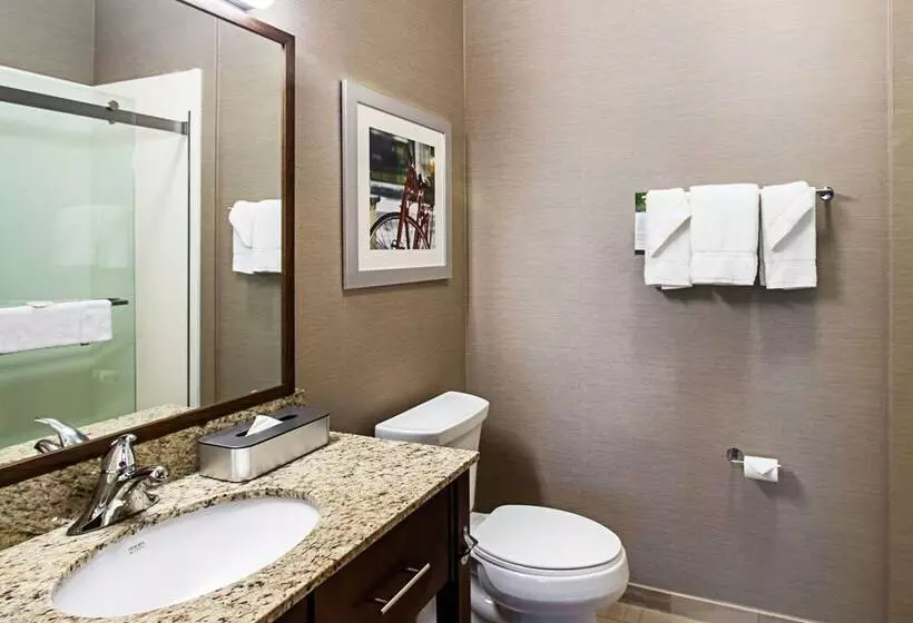 スイート, Sleep Inn & Suites Madison   Monona
