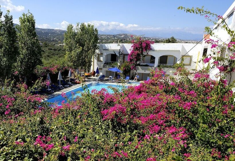 חדר סטודיו סטנדרד, Apollon Hotel Apartments