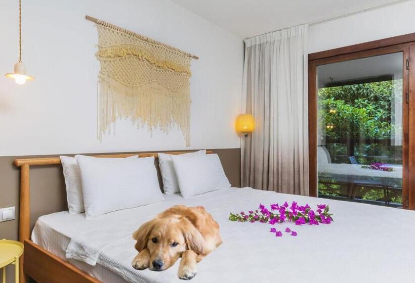 수피리어 룸, Faros Bodrum Hotel   Special Category