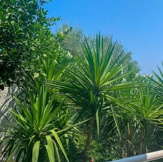 スタンダードスタジオ, Folia Apartments Chania