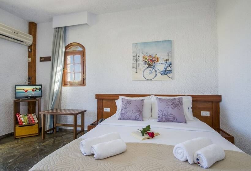 استودیوی استاندارد با چشم‌انداز دریا, Folia Apartments Chania