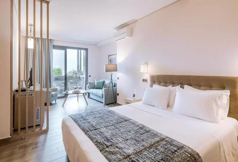 سوئیت جونیور با چشم‌انداز باغ, Akti Taygetos Conference Resort