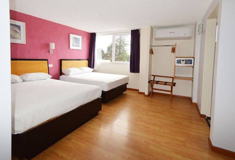 Семейный Номер, Centro 19