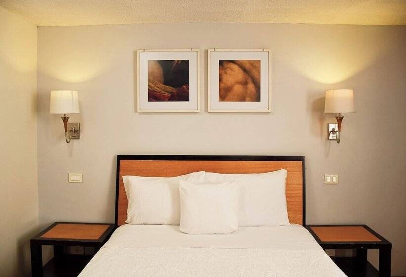 Номер Стандарт, Centro 19