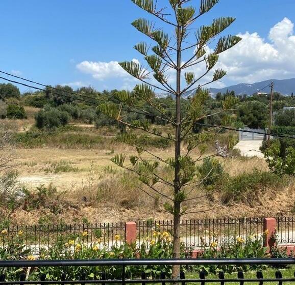 패밀리 룸, Paradise Studios