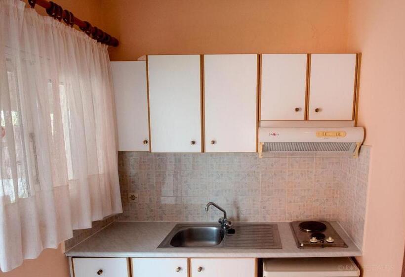 스탠다드 룸, Paradise Studios