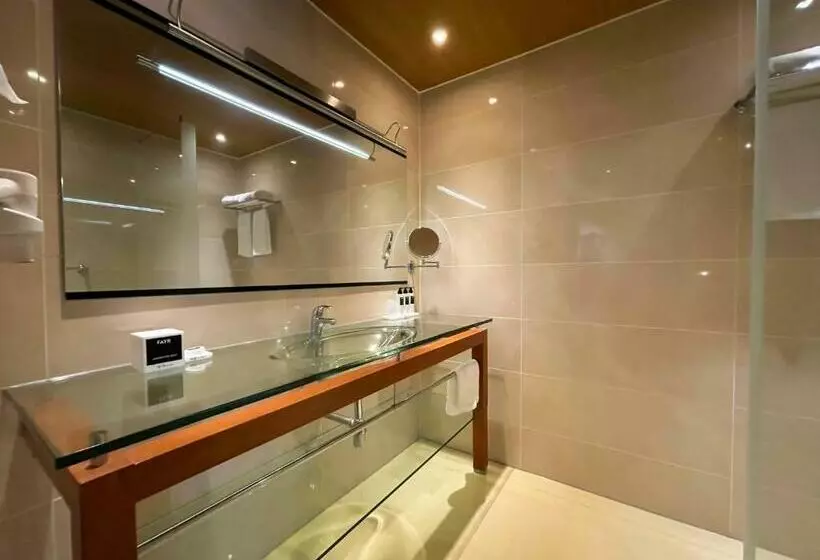 コンフォートルーム, Westcord Wtc Hotel Leeuwarden