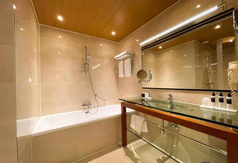 Полулюкс, Westcord Wtc Hotel Leeuwarden